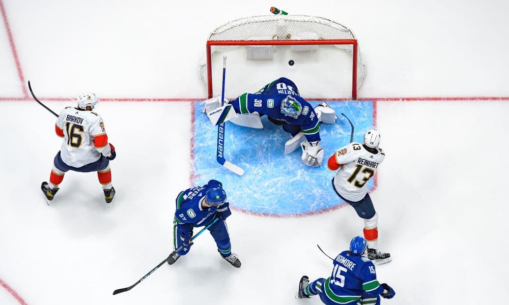 Florida panthers