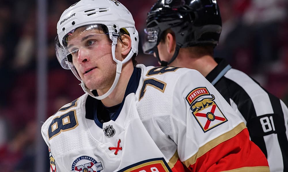 Florida panthers mamin khl