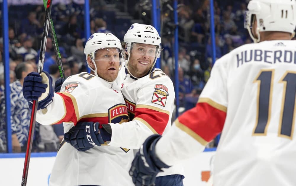 Florida panthers