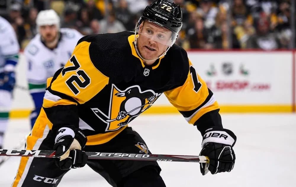 Panthers penguins