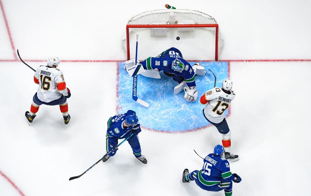 Florida panthers