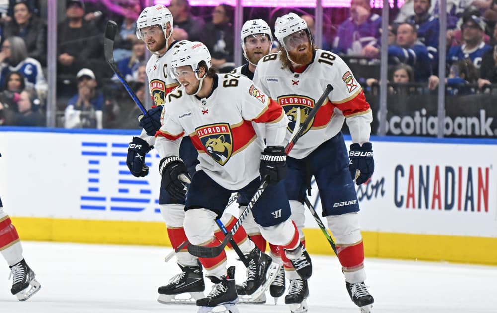Florida panthers
