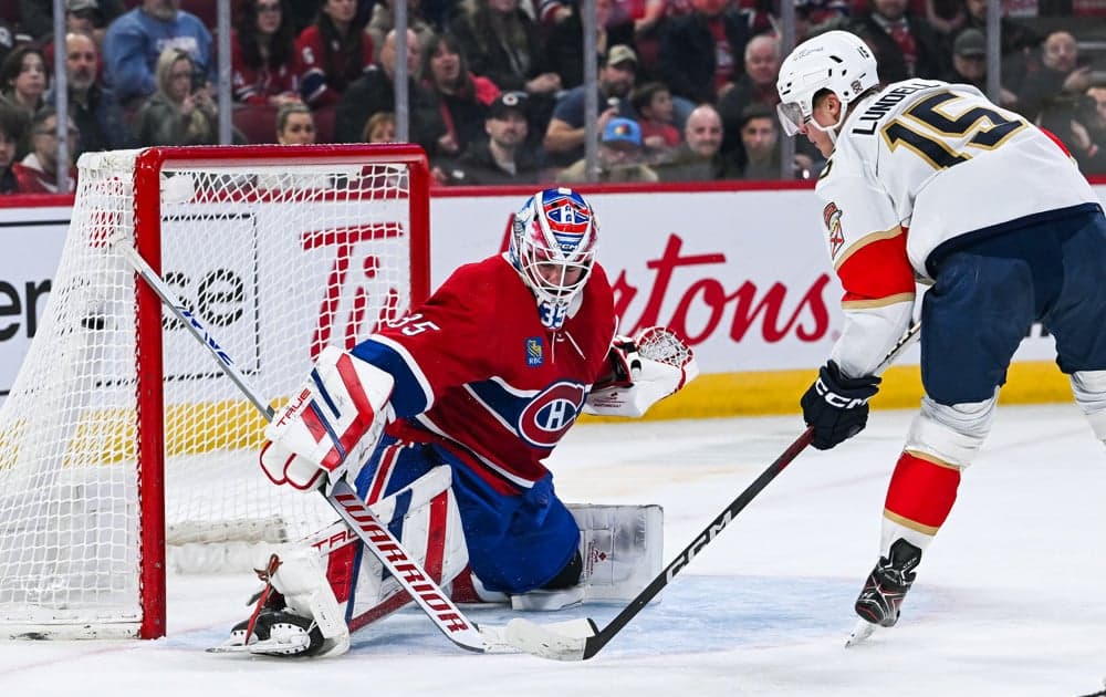 Florida panthers