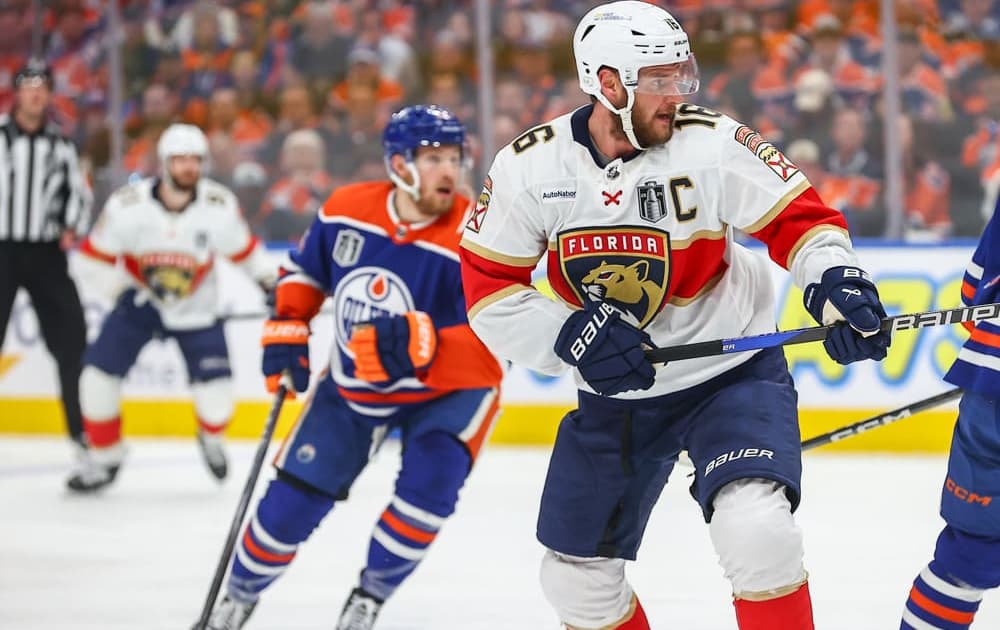 Florida panthers
