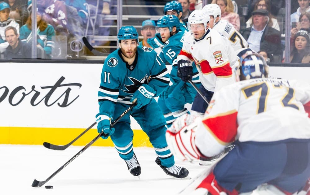 Florida panthers sign