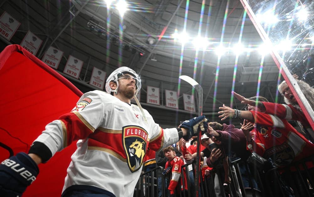 Florida panthers