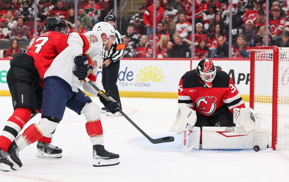 Florida panthers
