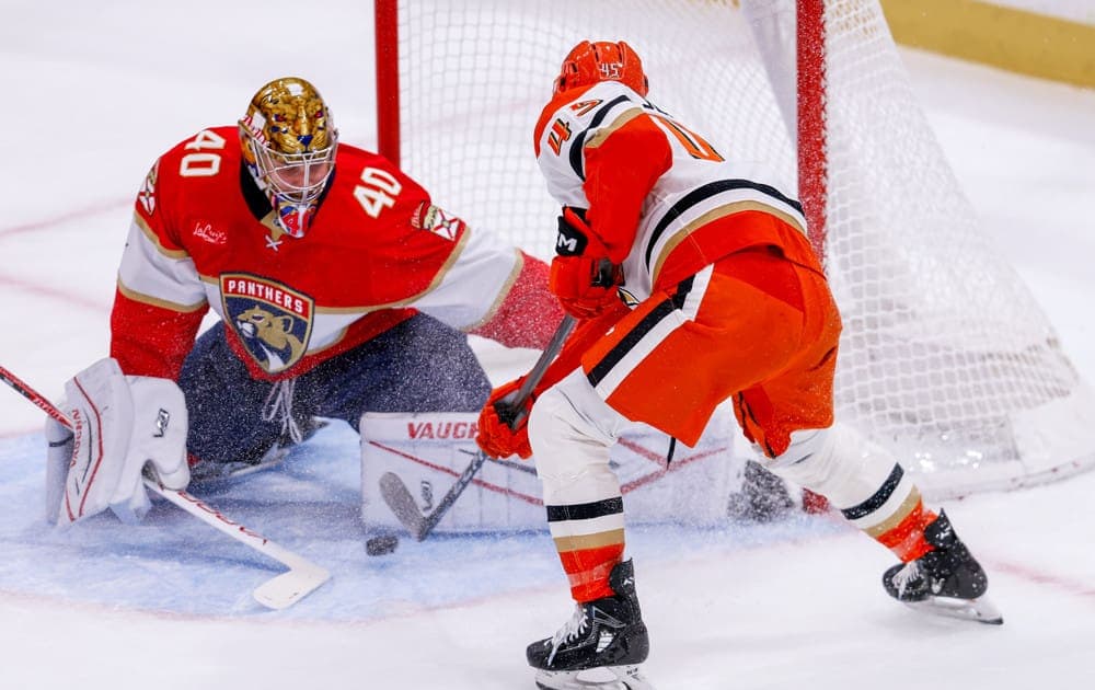 Florida panthers