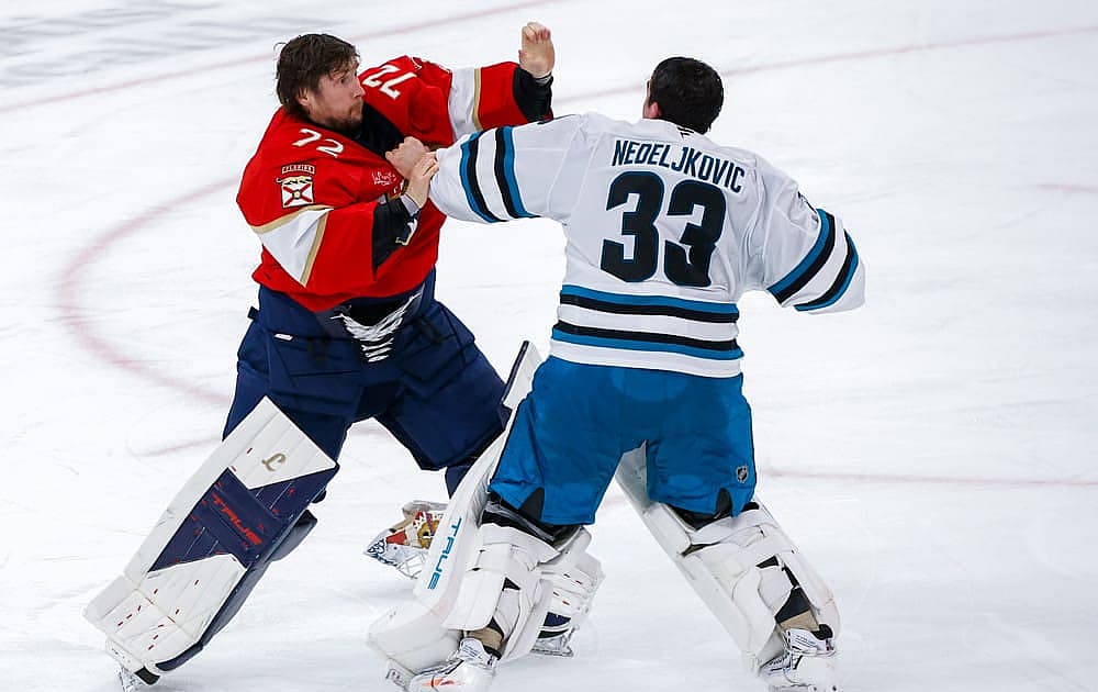 Goalie fight bobrovsky