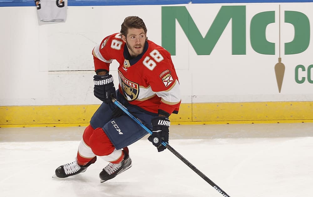 Florida mike hoffman panthers