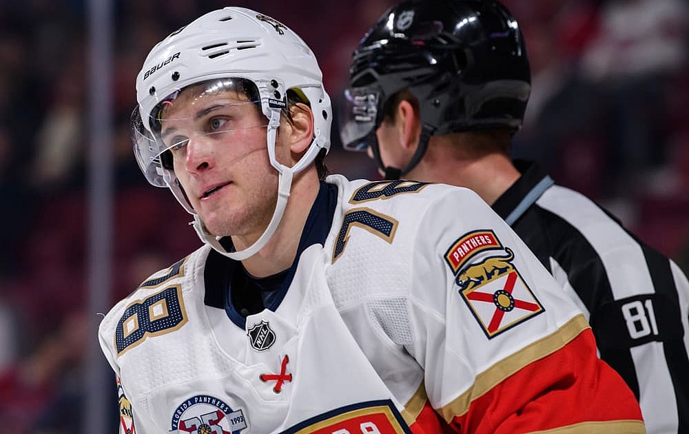 Florida panthers mamin khl