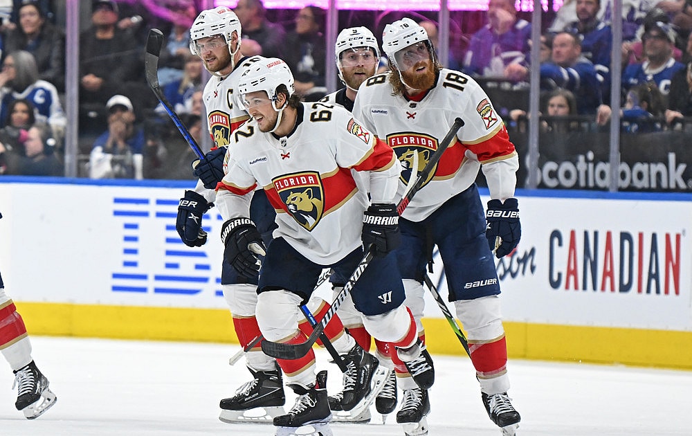 Florida panthers