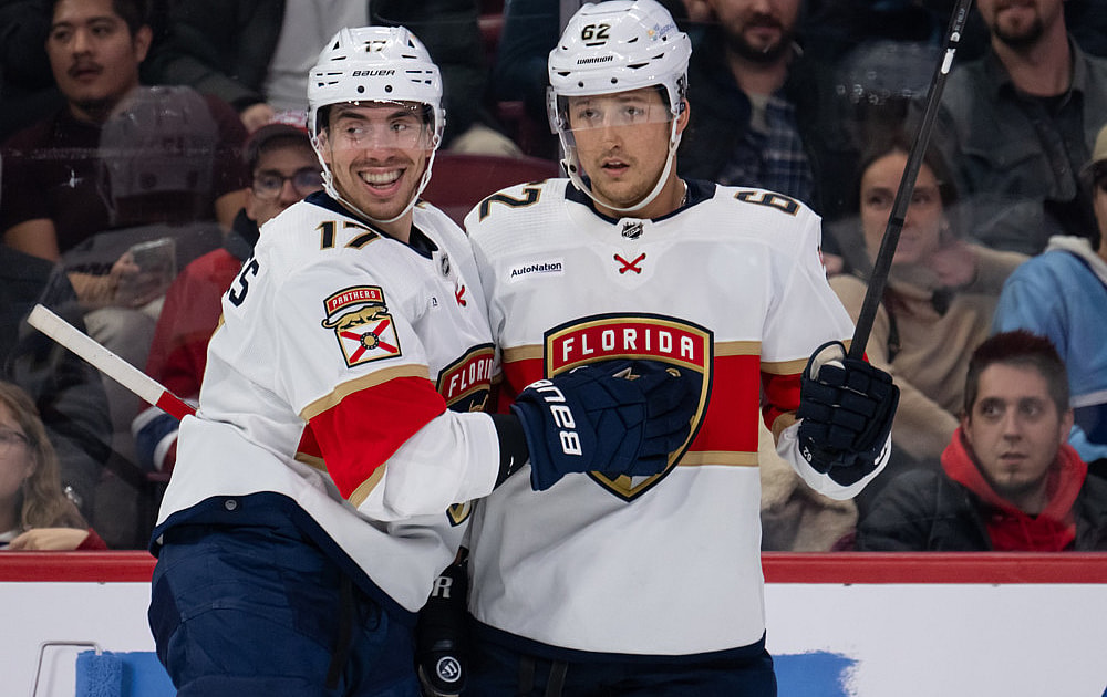 Florida panthers