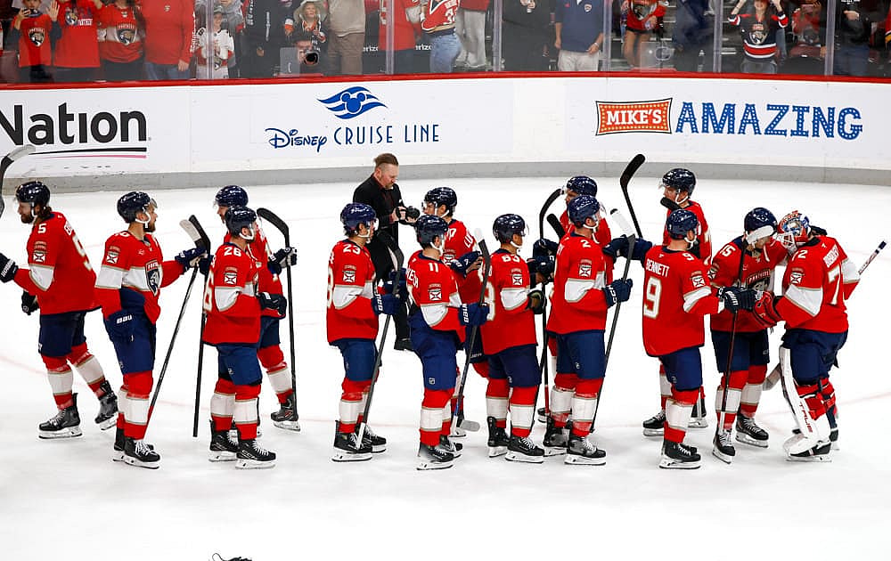 Florida panthers