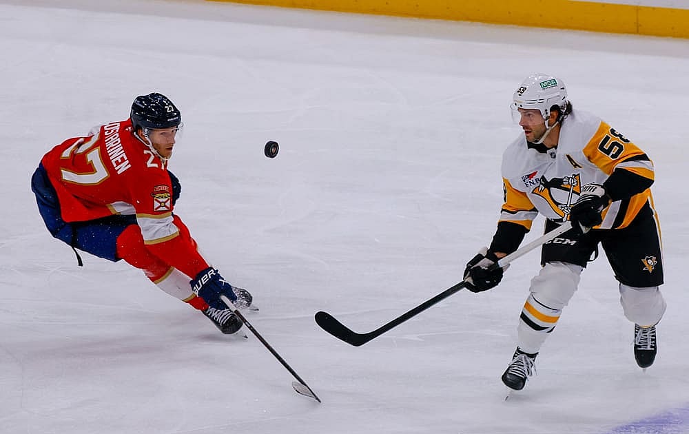 Florida panthers