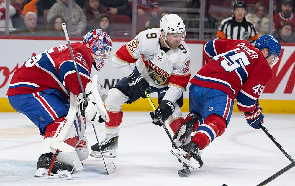 Florida panthers