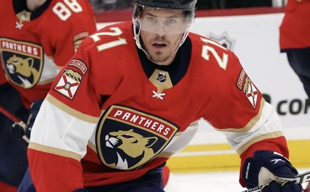 Florida panthers