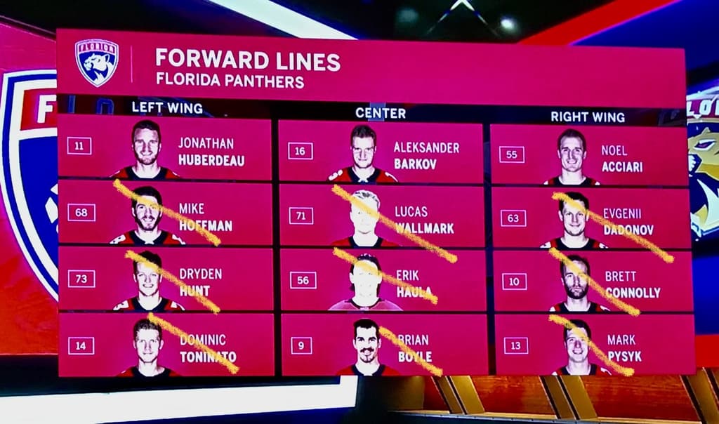 Florida panthers