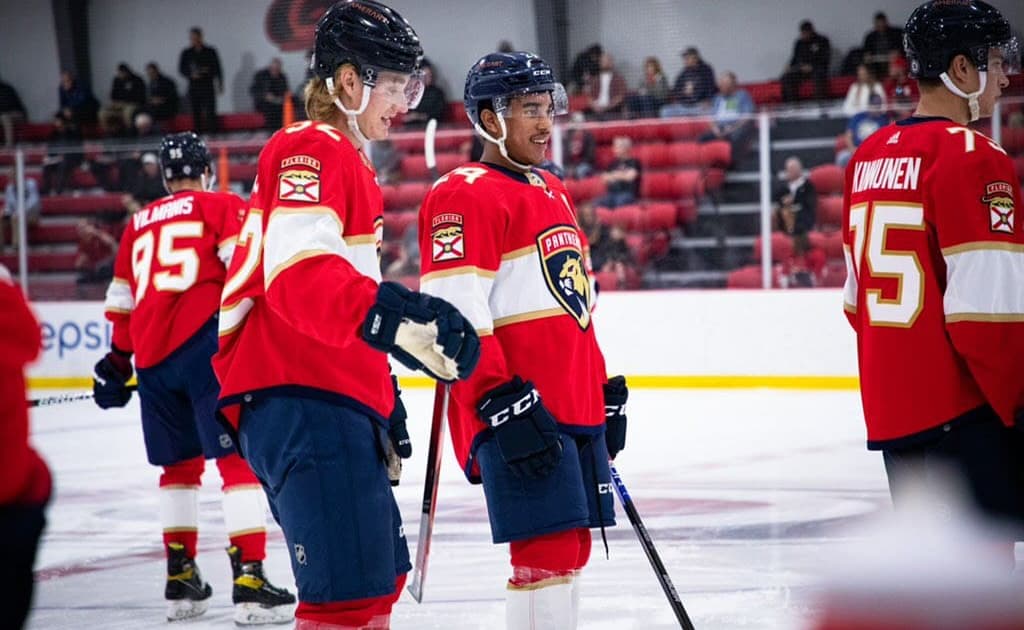 Florida panthers