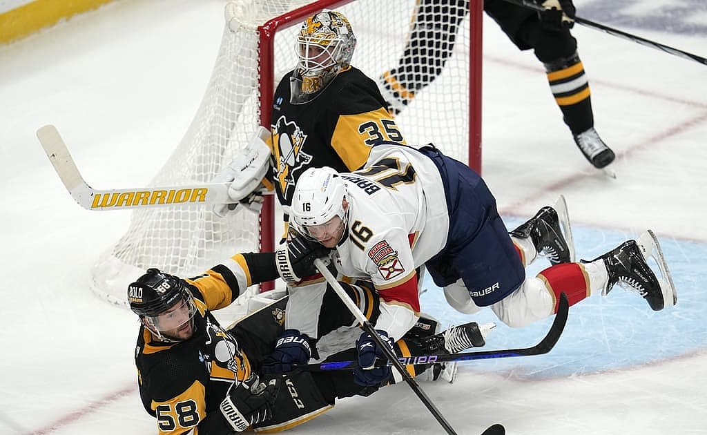 Panthers penguins
