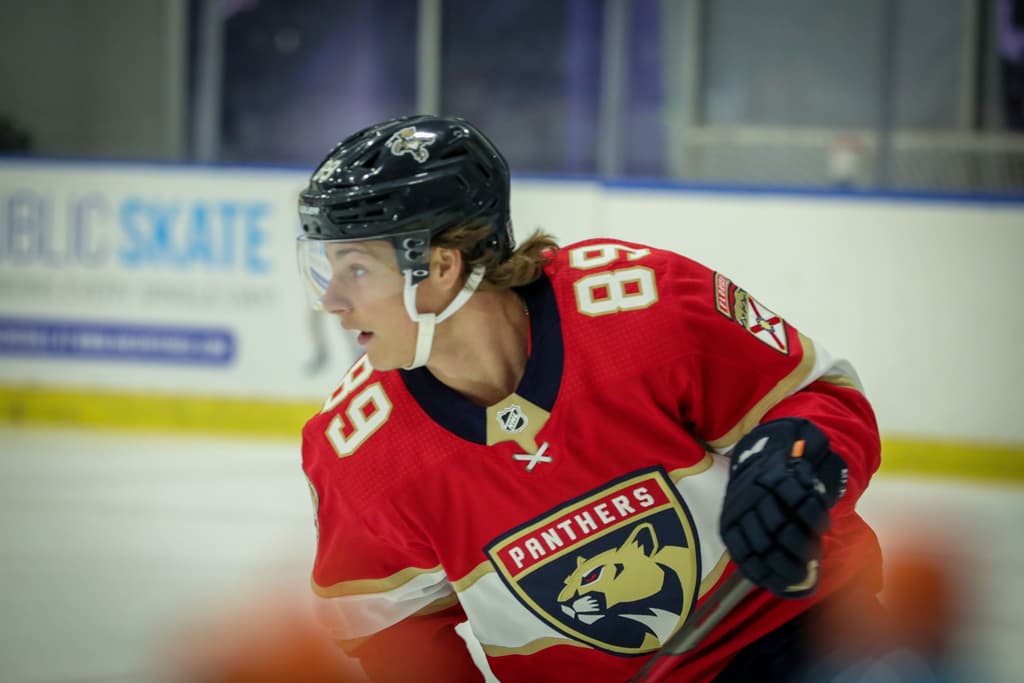 Florida panthers charlotte