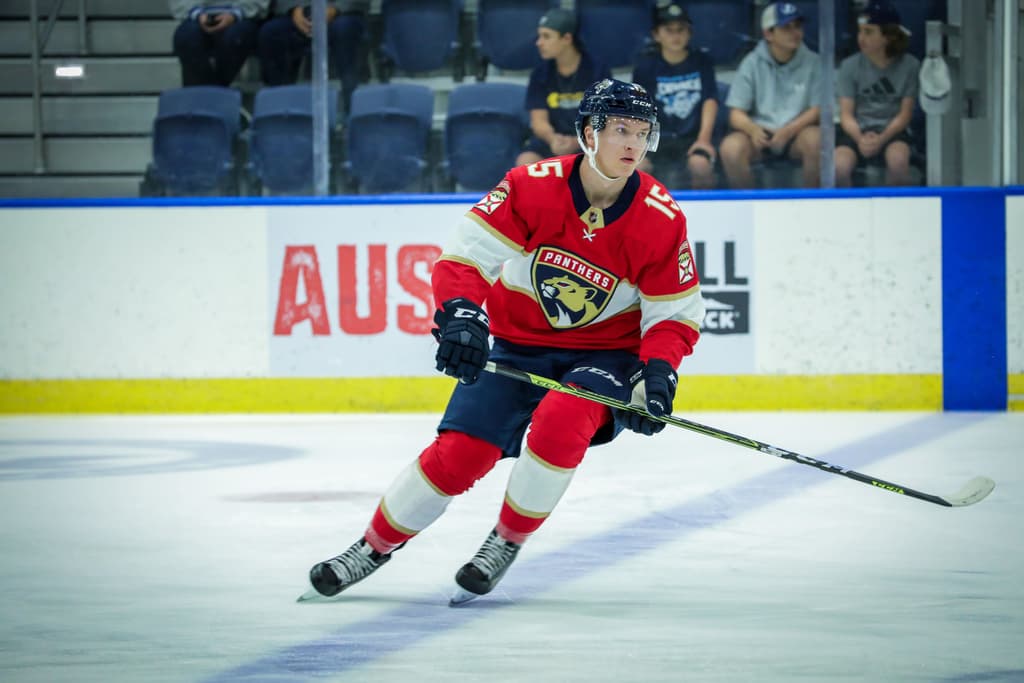 Florida panthers