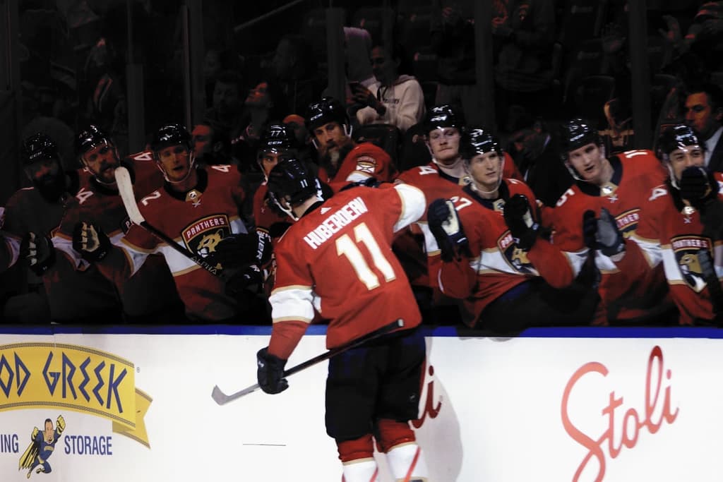 Florida panthers