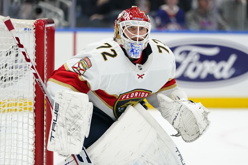 Florida panthers