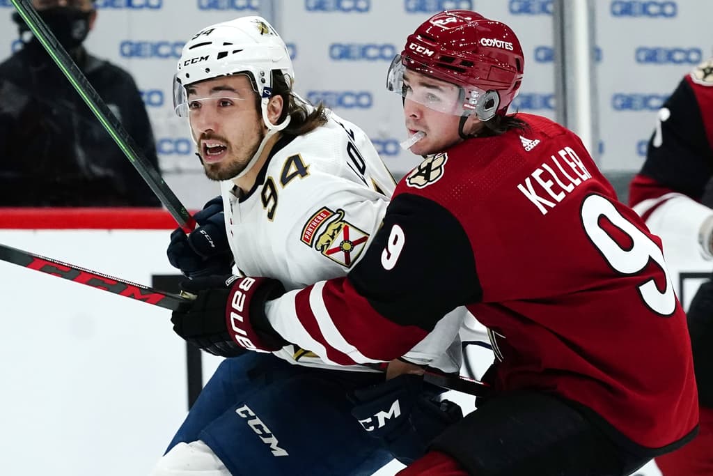Florida panthers