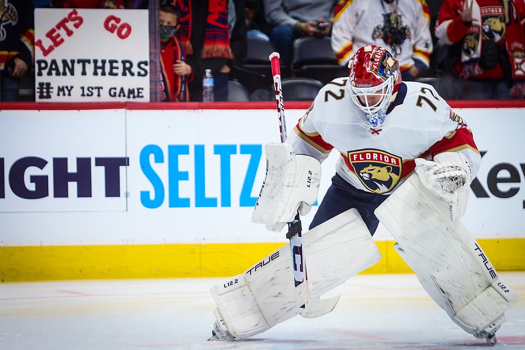 Florida panthers