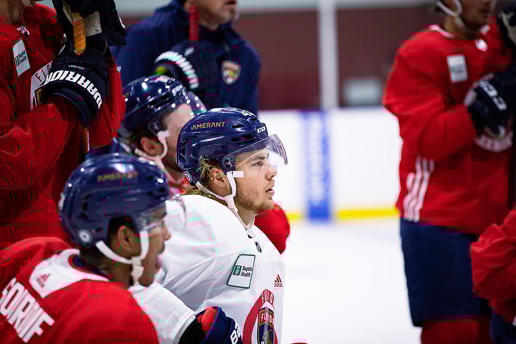 Florida panthers bertuzzi