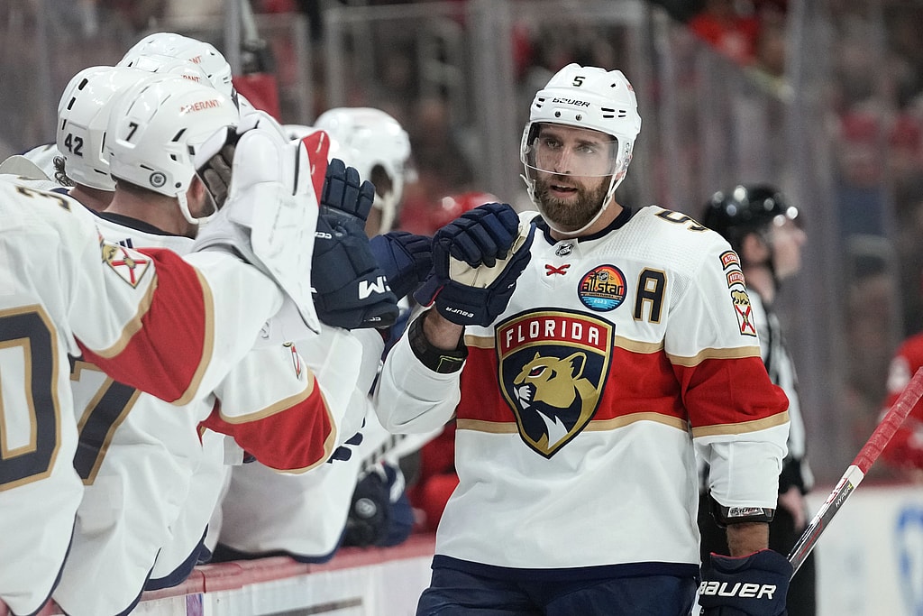Florida panthers