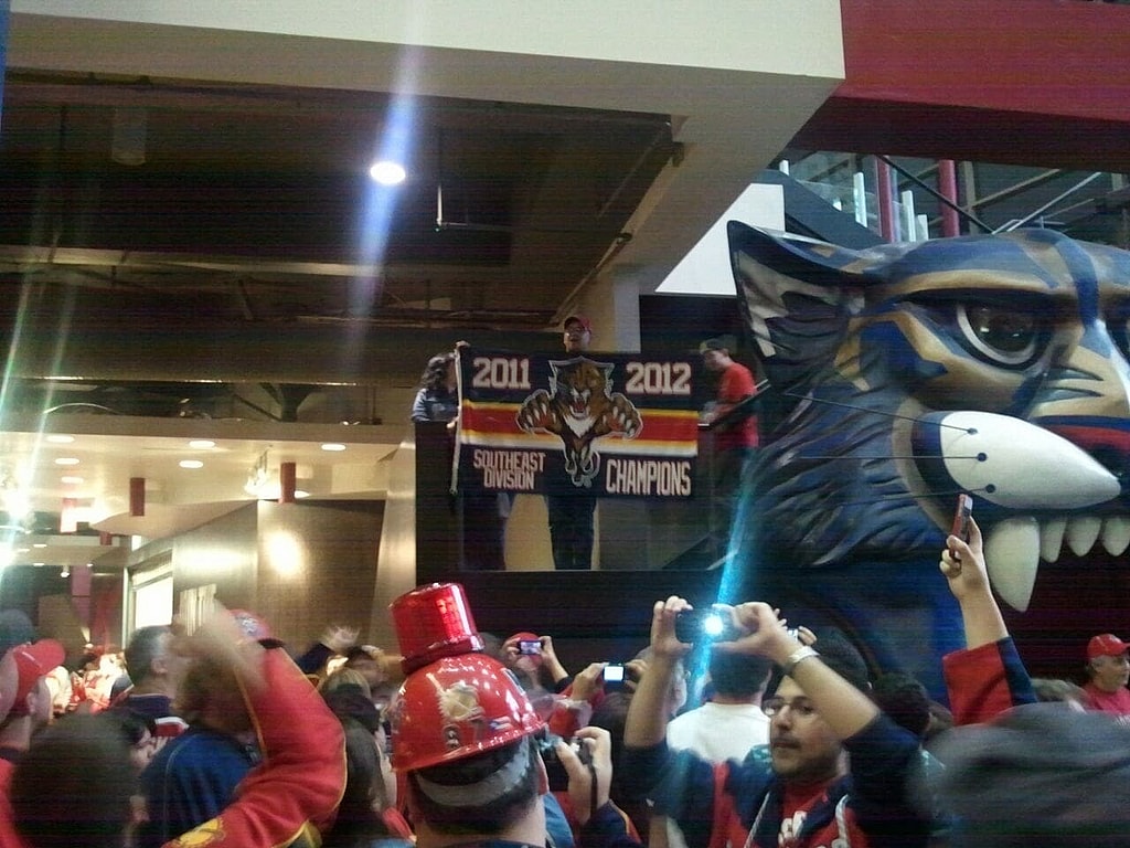 Florida panthers