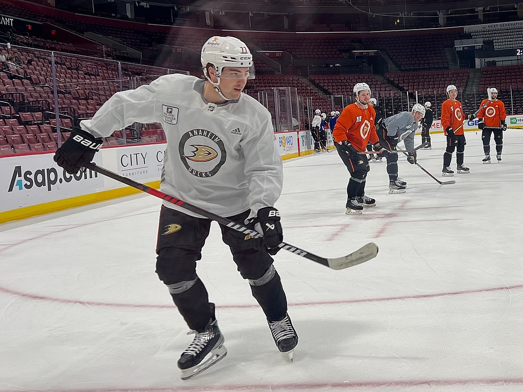 Florida panthers vatrano