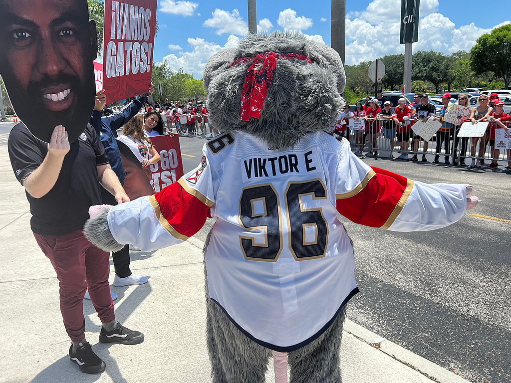 Florida panthers