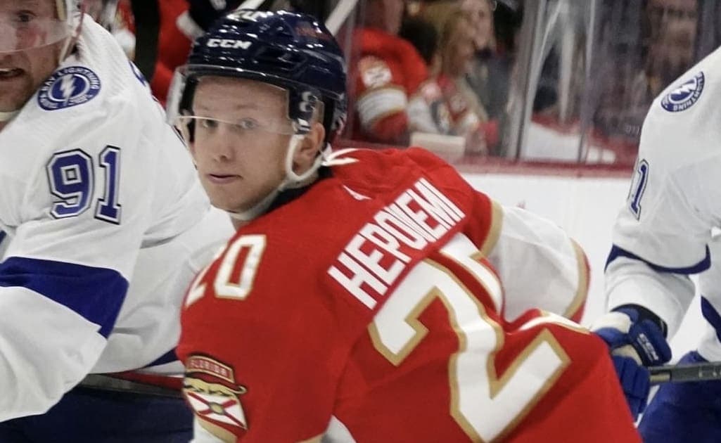 Panthers kings
