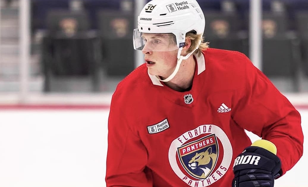Florida panthers