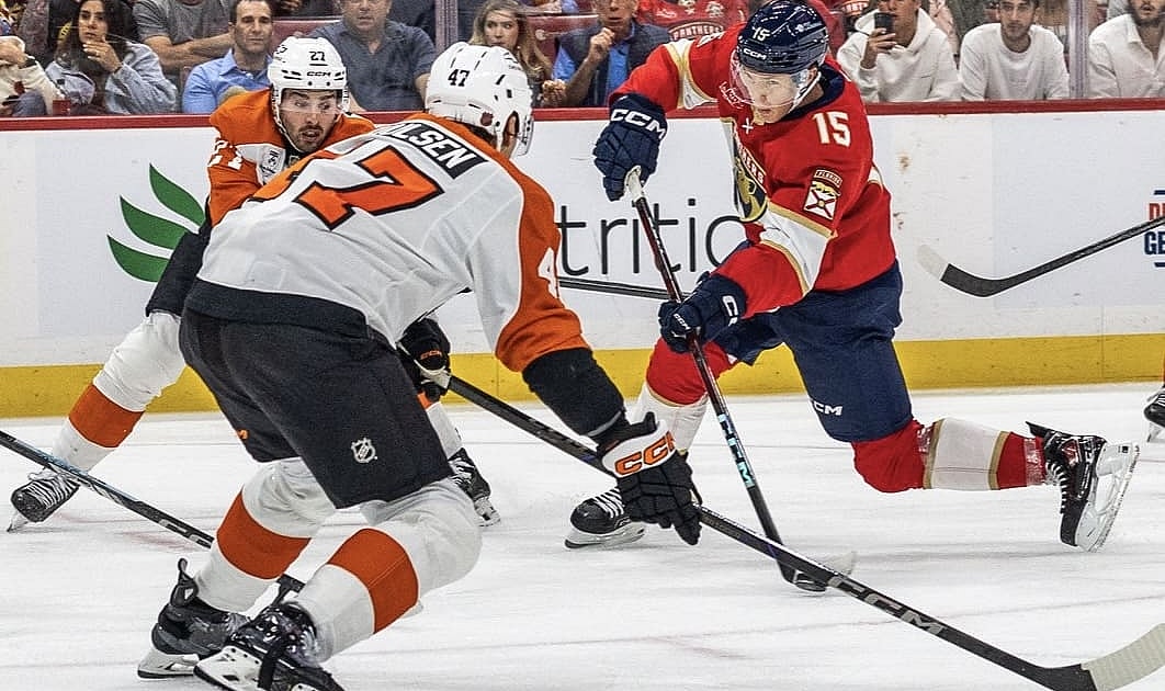 Florida panthers