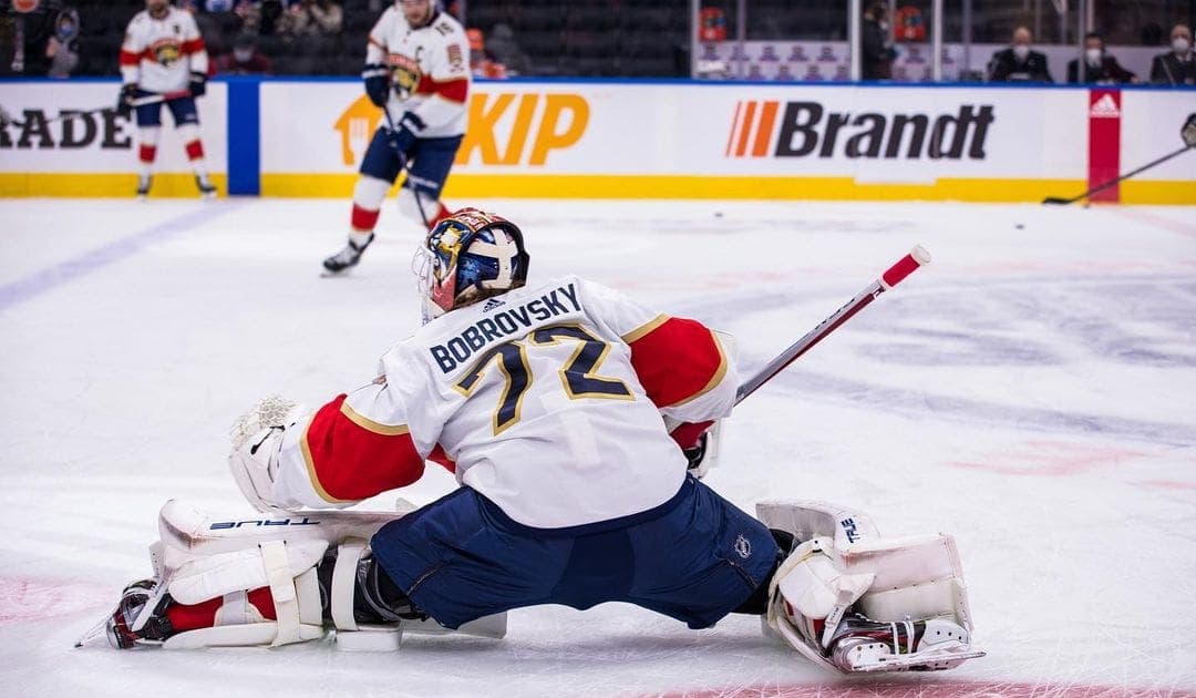 Florida panthers