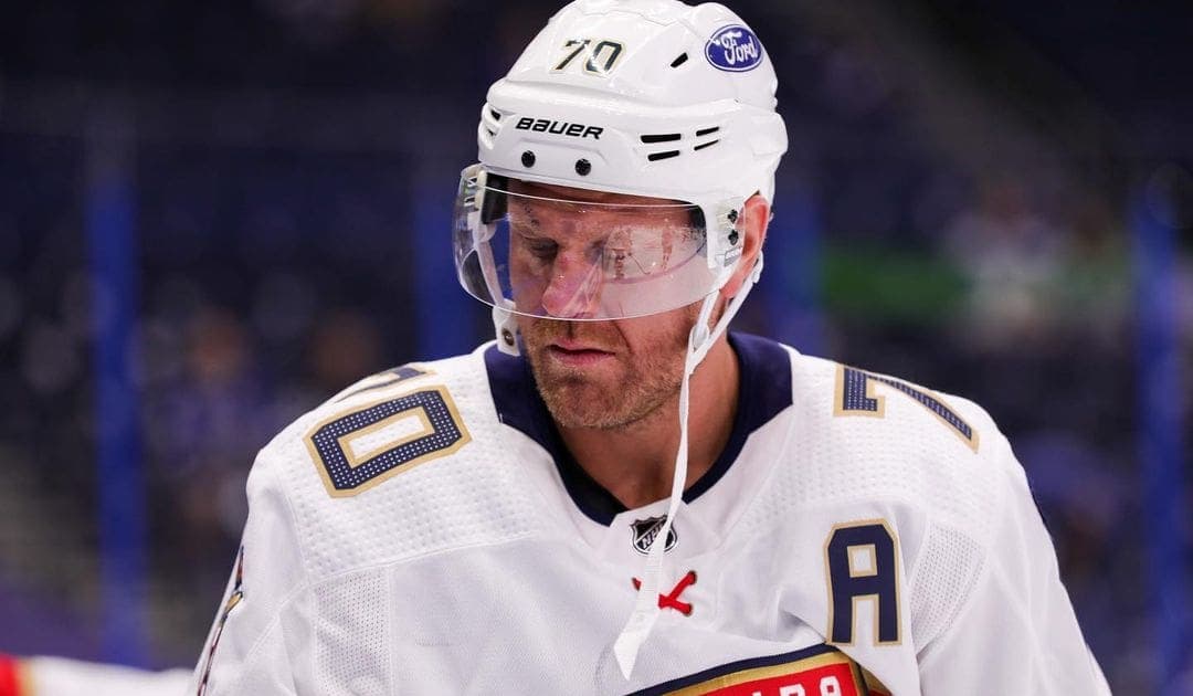 Florida panthers