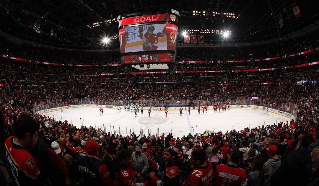 Florida panthers