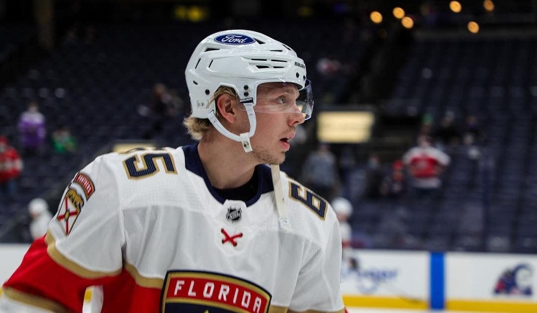 Florida panthers