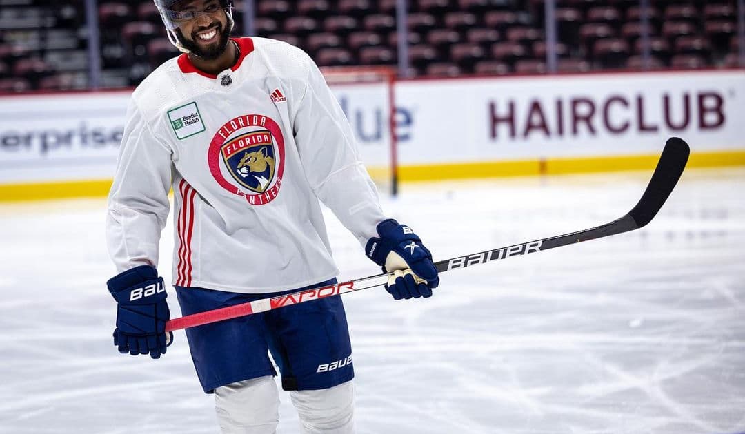 Florida panthers duclair
