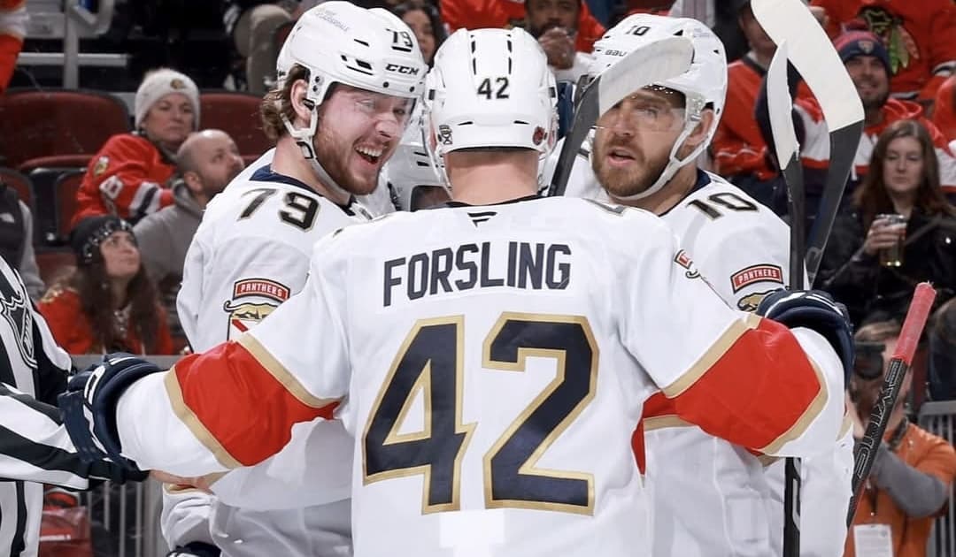Florida panthers