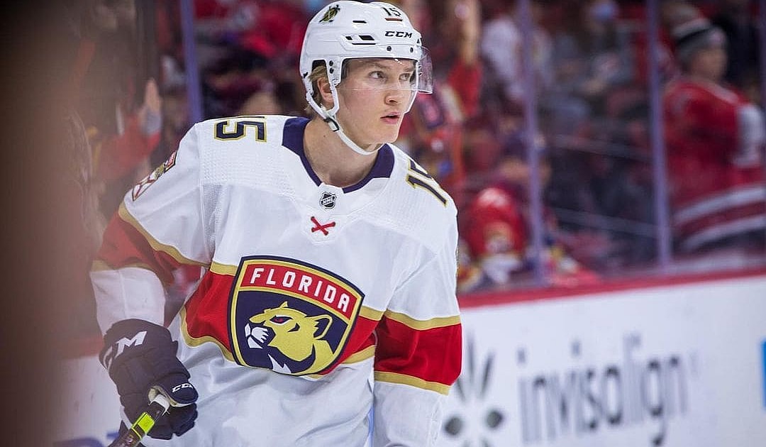 Florida panthers