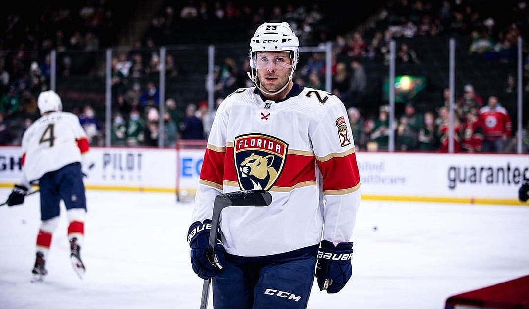 Florida panthers