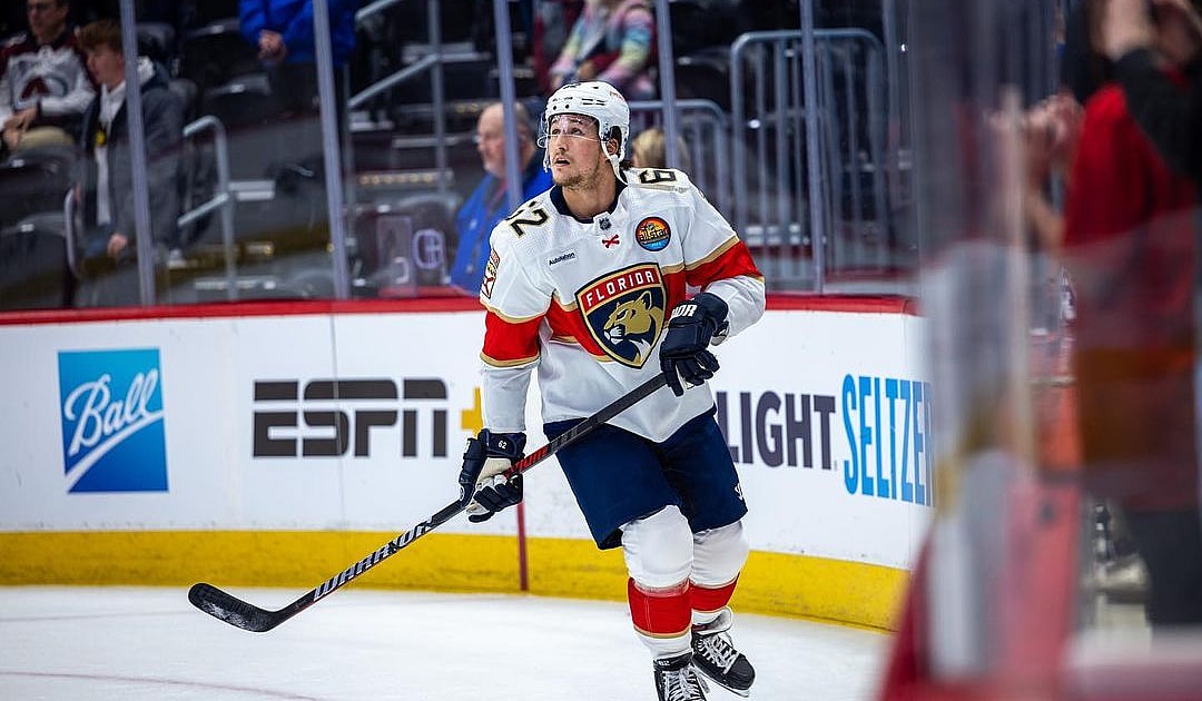 Florida panthers