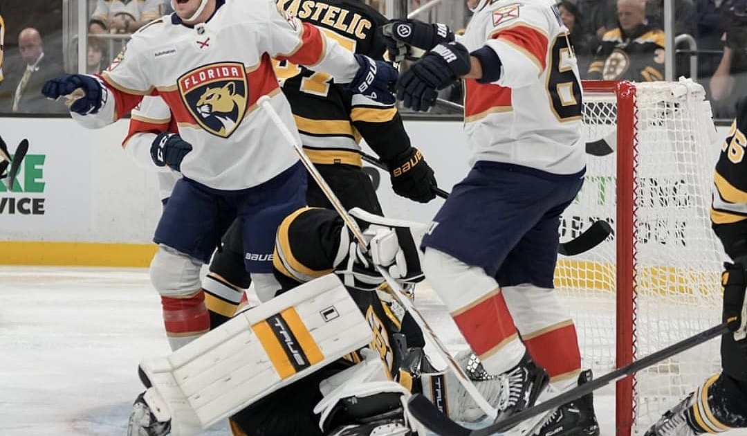 Florida panthers