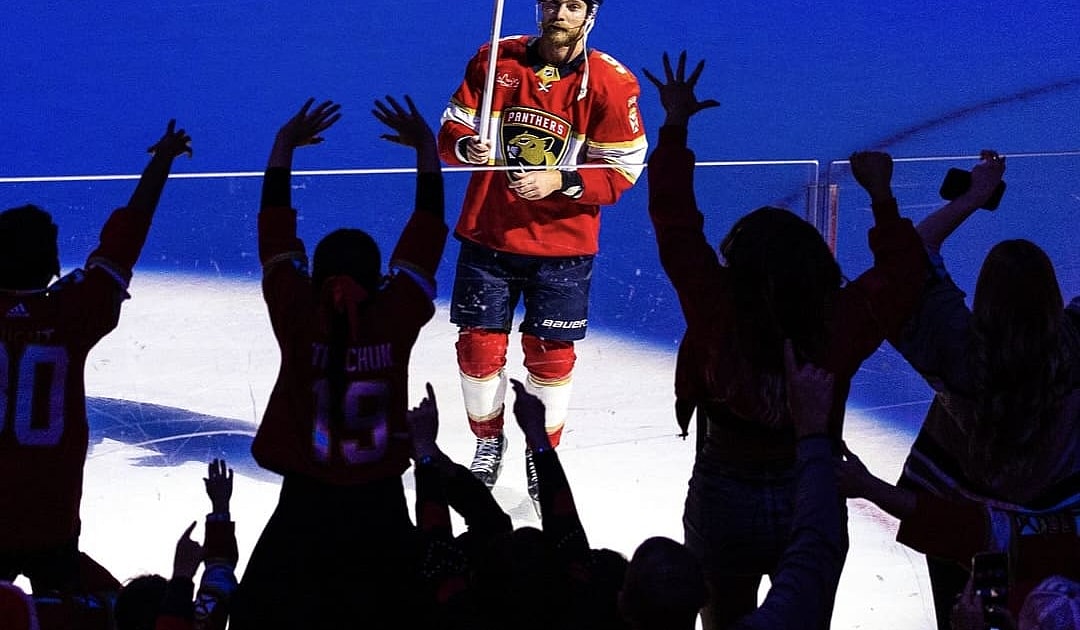 Florida panthers