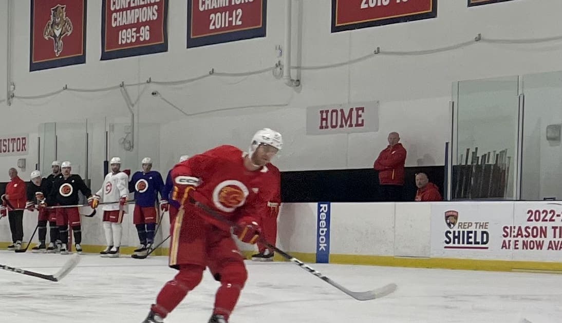 Florida panthers